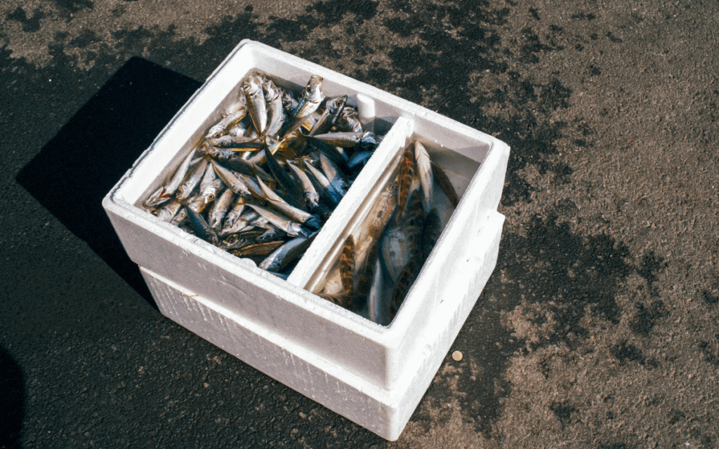 Styrofore For Fish Styrofoam Boxes for Food Industry in Kenya | Storage & Transport