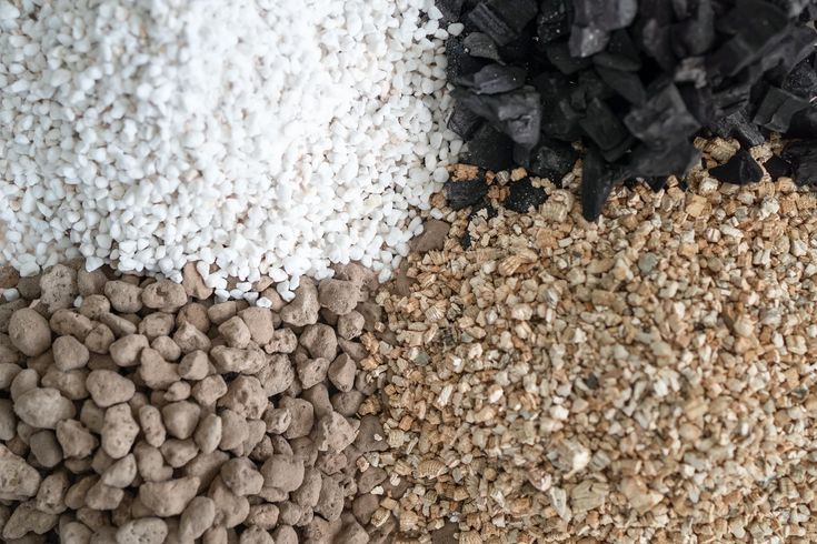 Best soil mix for seedlings in Kenya