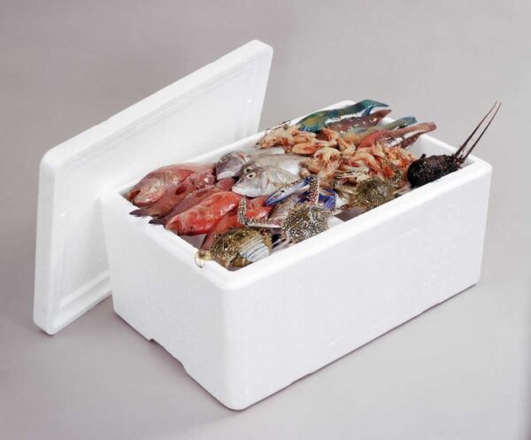 Fish Display Styro Insulated Fish Styrofoam Boxes | Fish Transport 0722664867