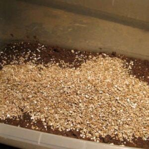 vermiculite for gardening and soil improvement