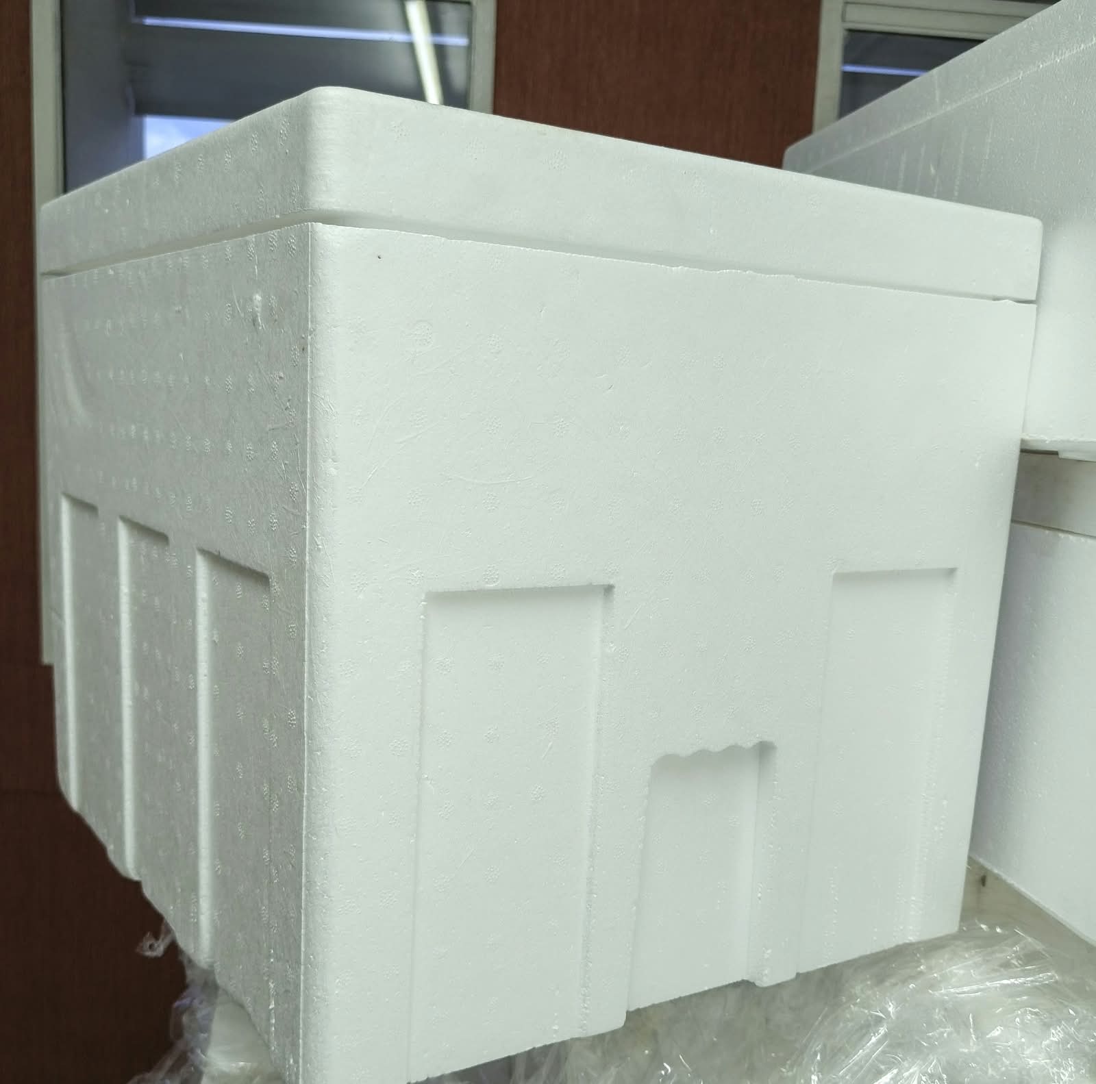 41kg large styrofoam box with lid for bulk fish and cold storage, Bioflex Kenya